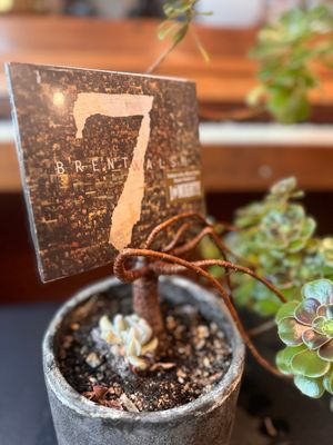 7 - CD