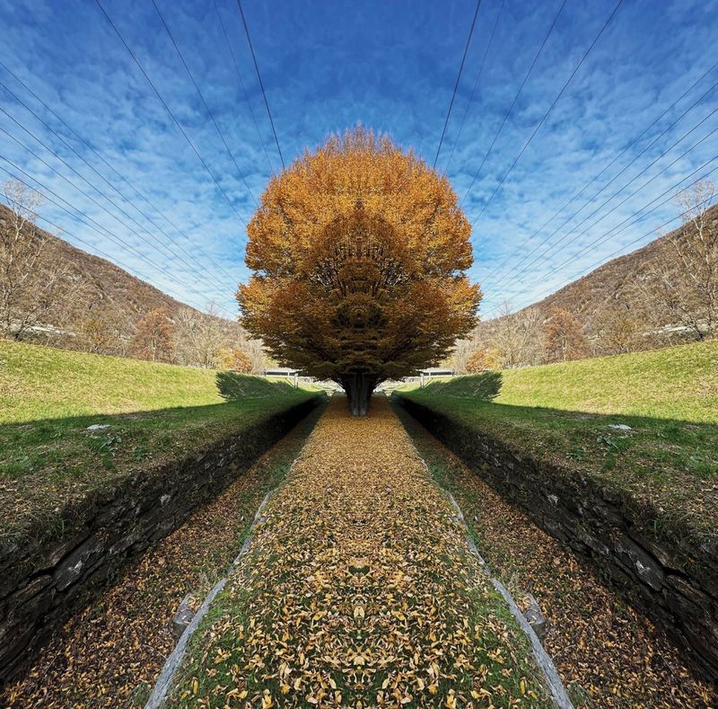 Bellinzona, Switzerland - 40x40 cm - limited of 3