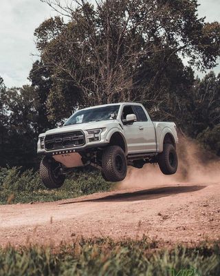Gen 2 Raptor (17-20)