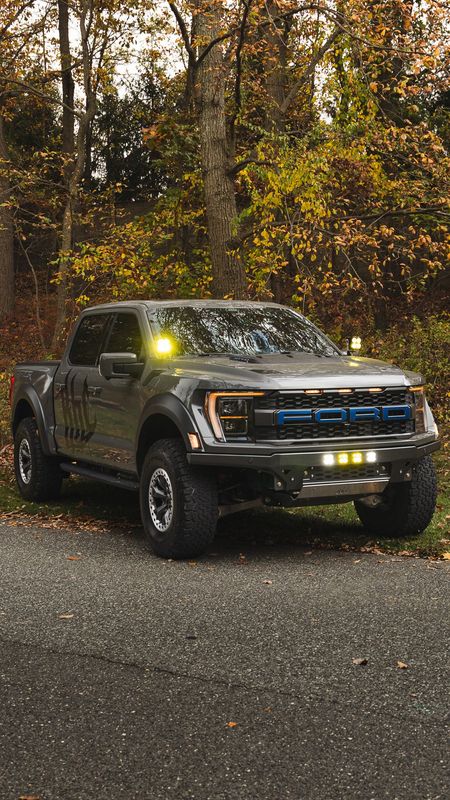 Gen 3 Ford Raptor (2021+)