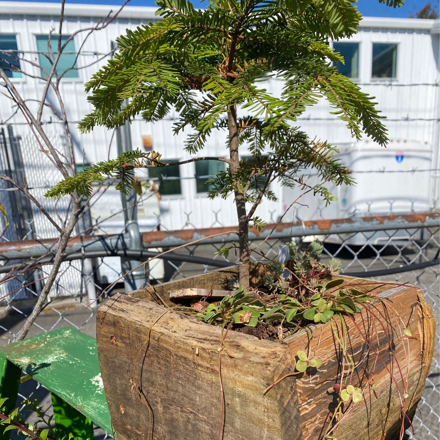 Mini Gardens