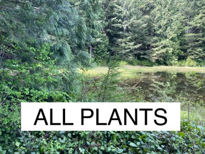 All Plants