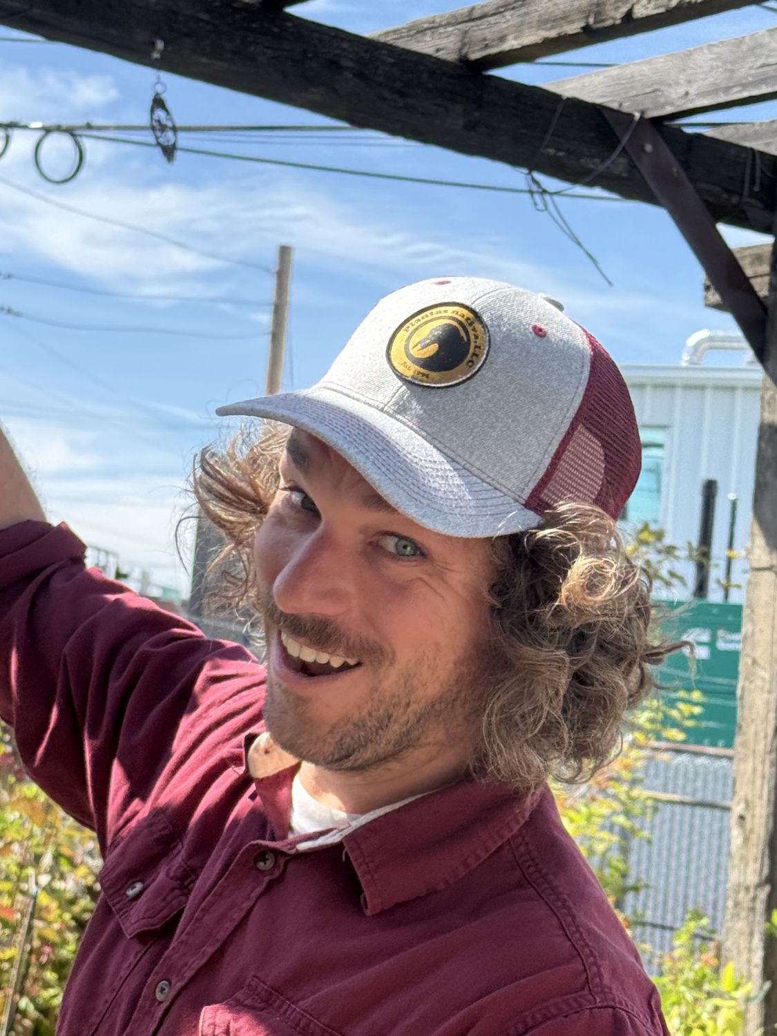 Maroon &amp; Gray Hat