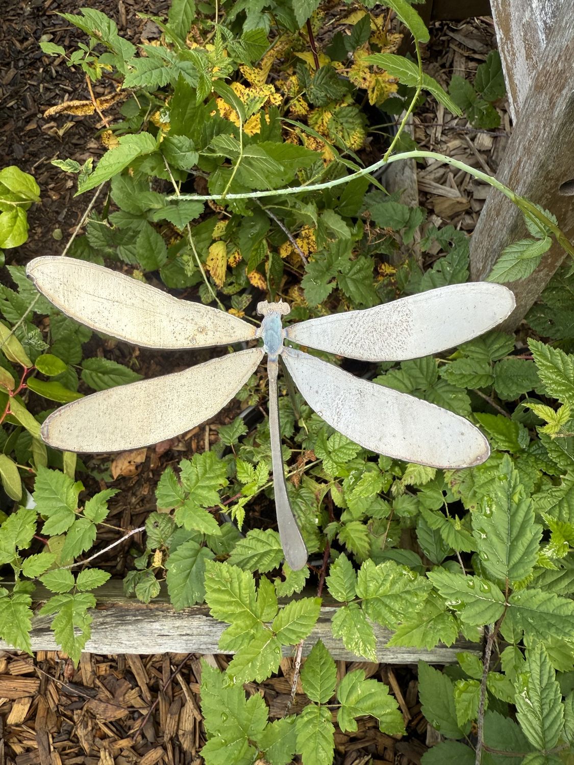 Metal Dragonfly