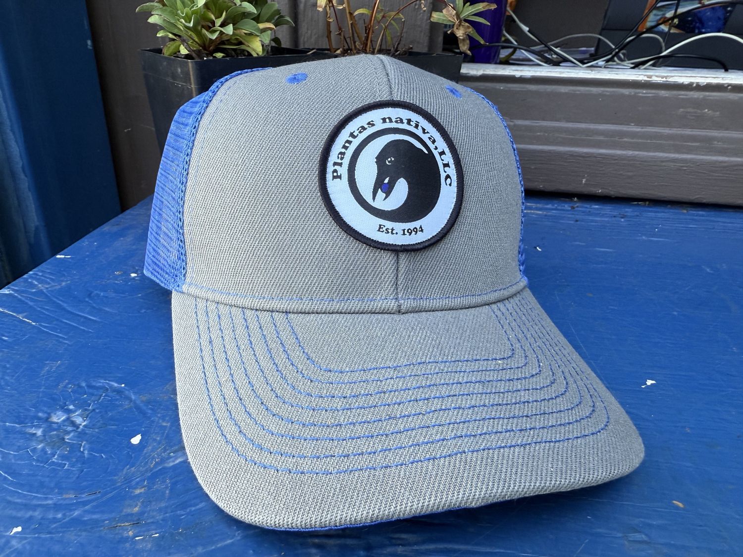 Blue &amp; Gray Hat
