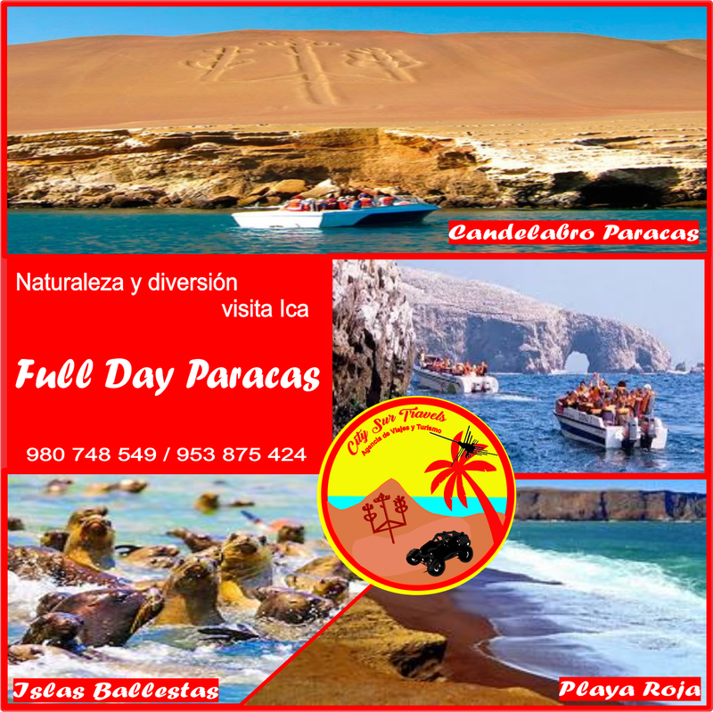 Full Day Paracas