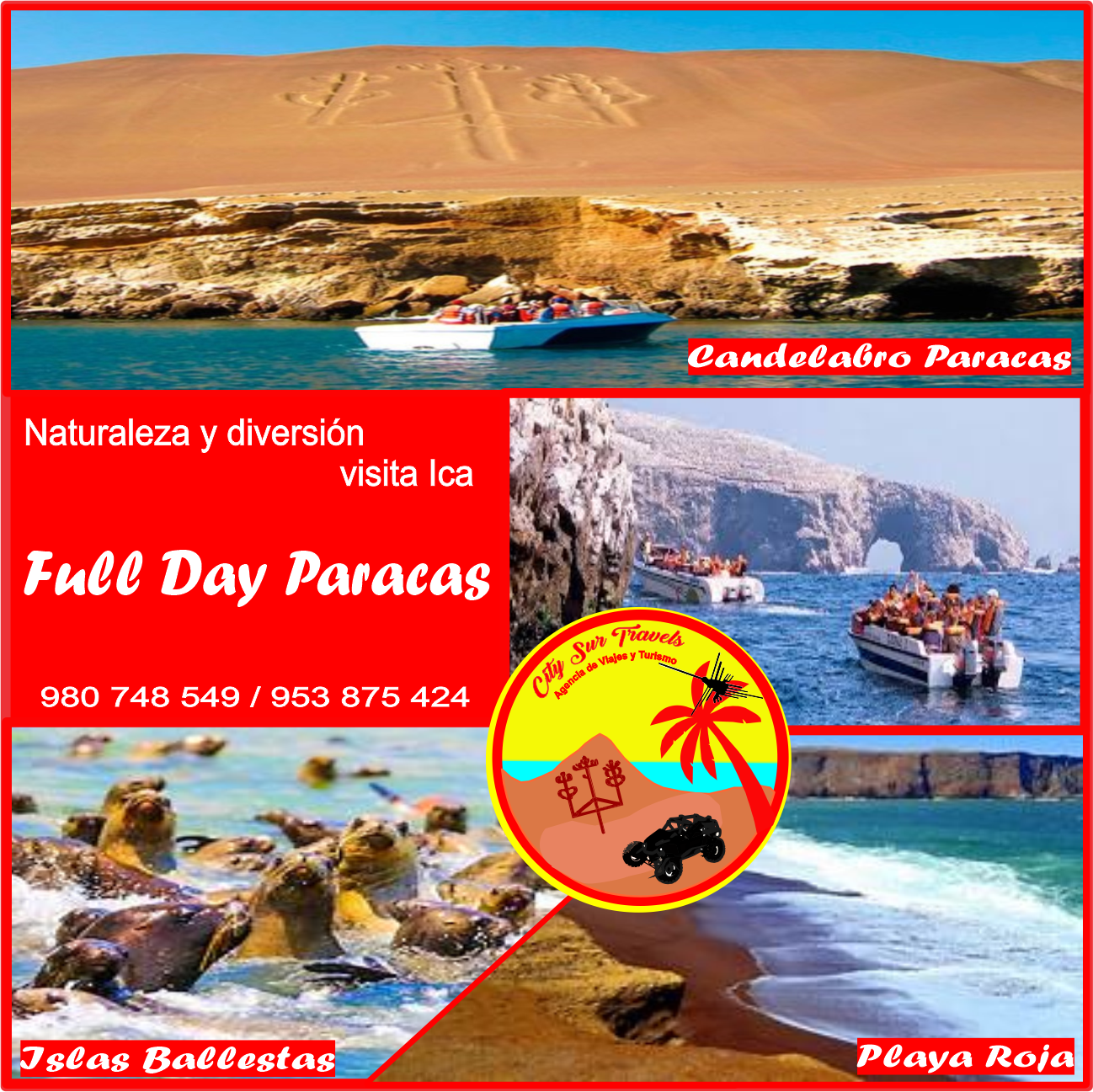 Full Day Paracas Full Day Paracas