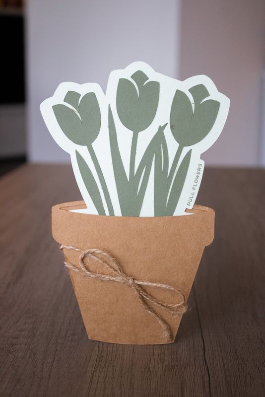 Flower Pot Card