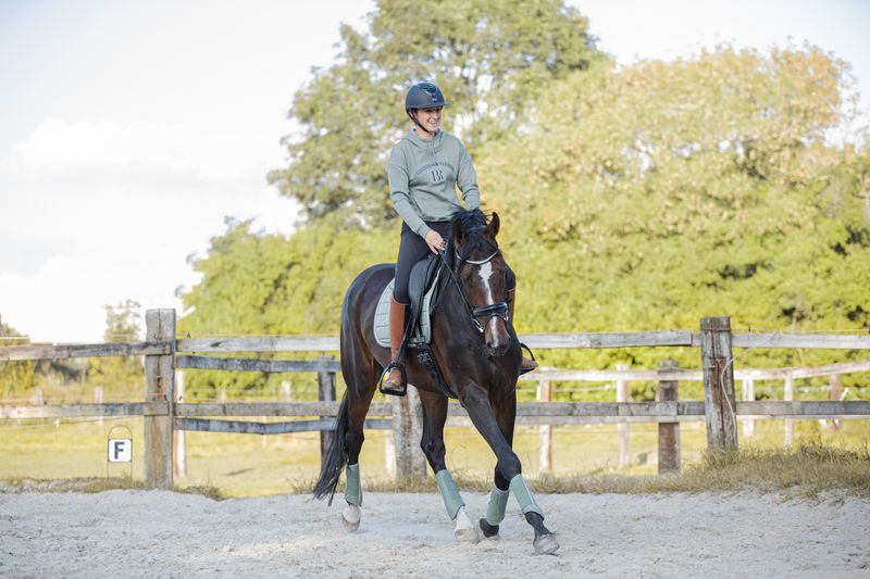 Paard