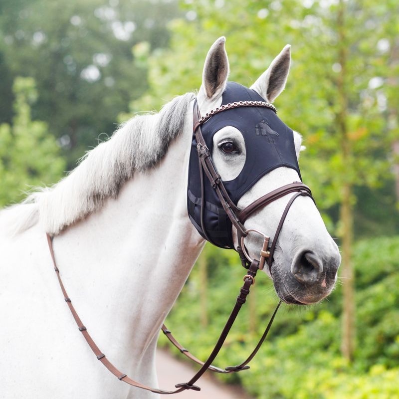 Oornetje en Masker