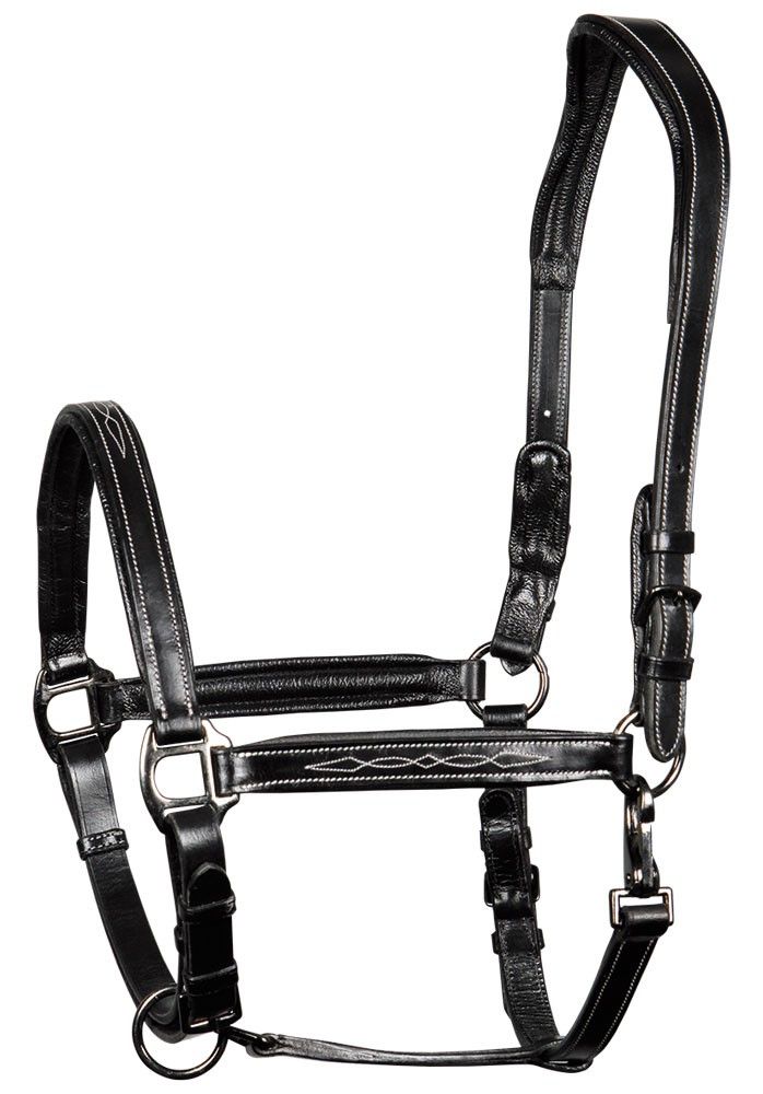 Halster Leder Supreme Zwart