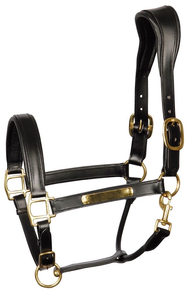 Halster Leder Anatomic Zwart