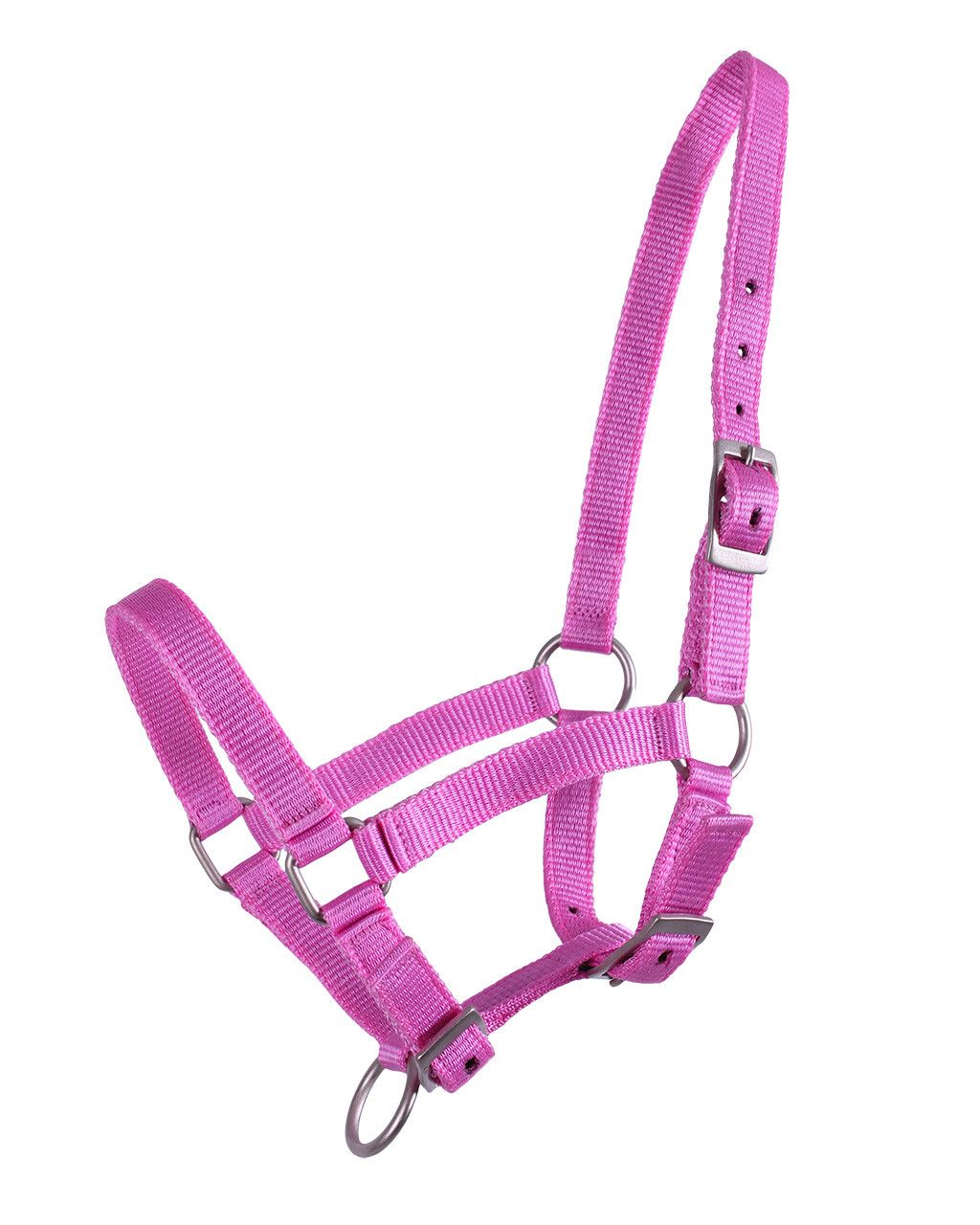 QHP Veulenhalster Roze