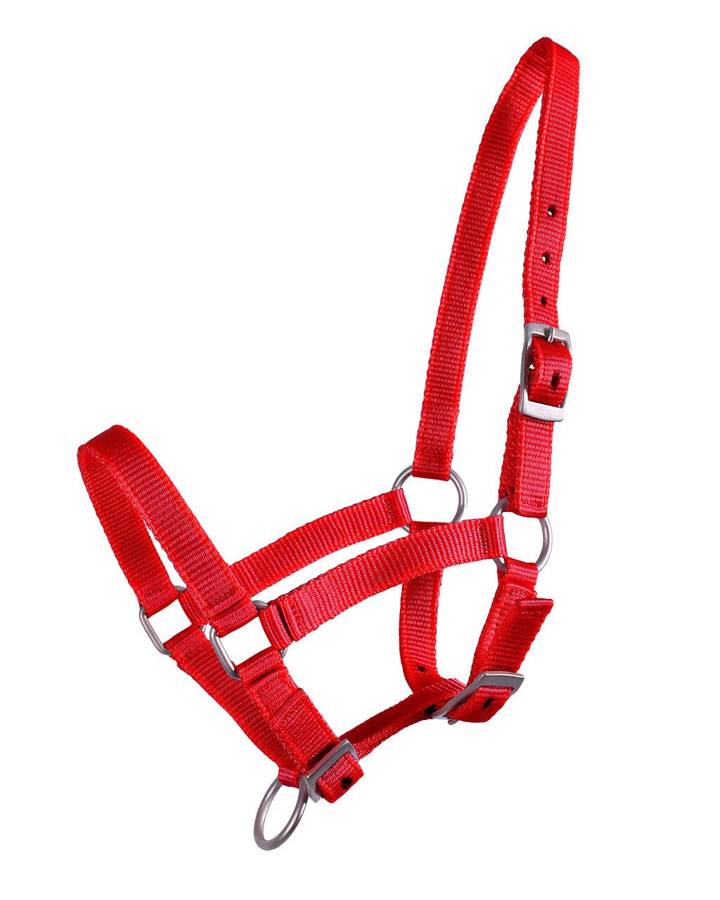 QHP Veulenhalster Rood