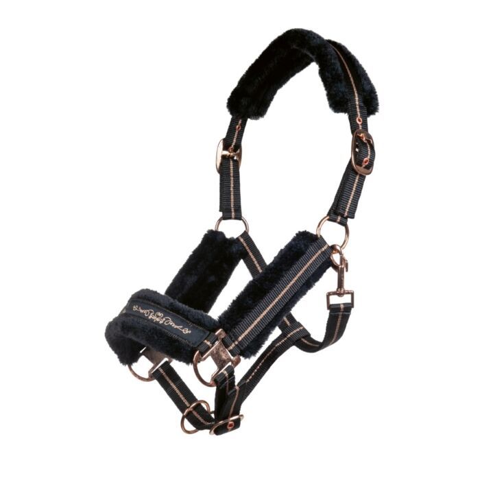 Halster Bont Zwart Rosegold