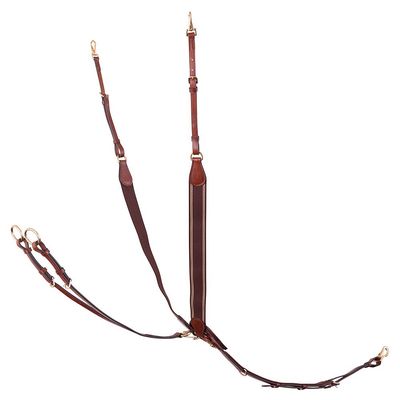 BR voortuig Taunton Bruin