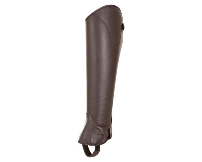 Chaps Taranto Bruin S