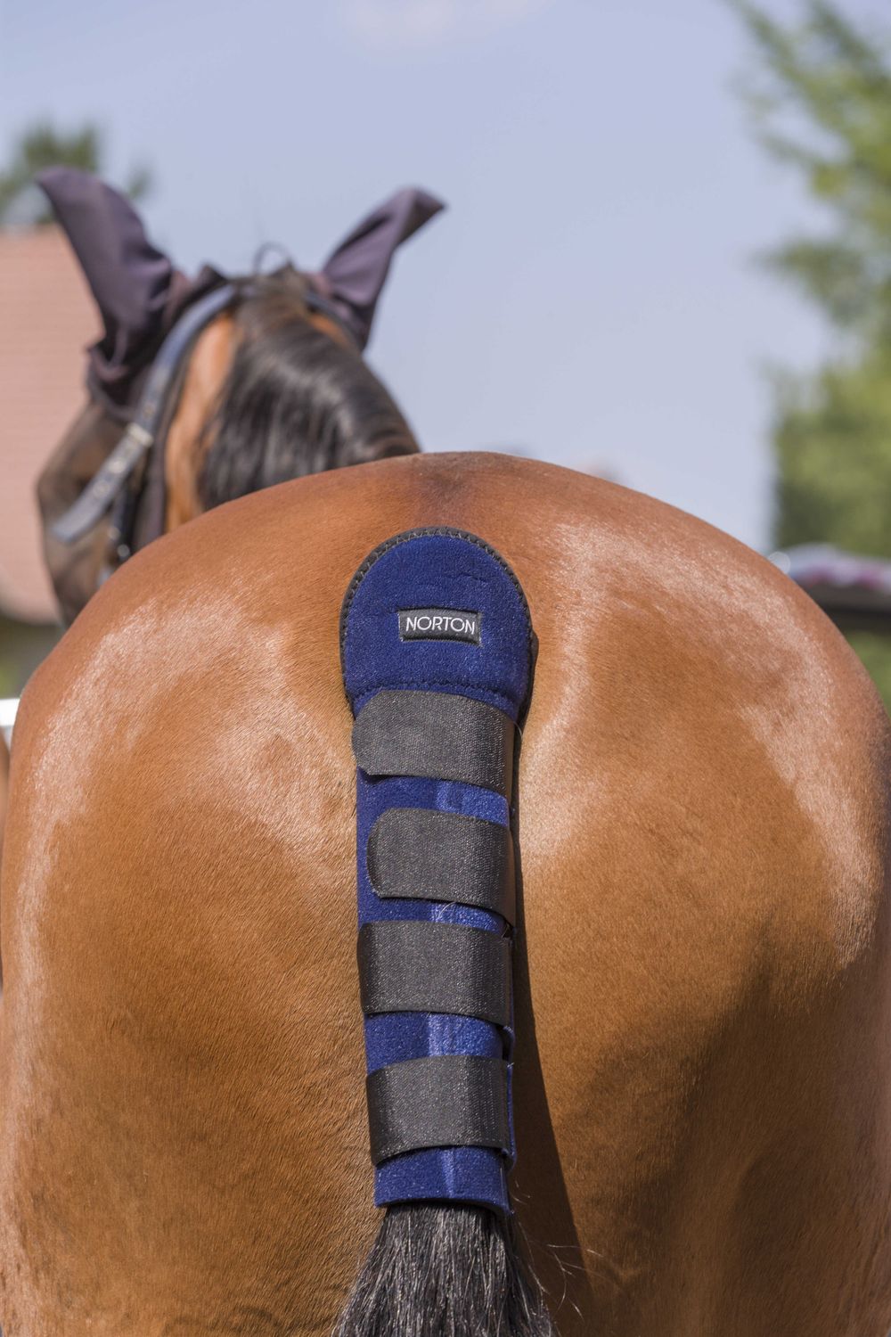 Staartbeschermer Navy