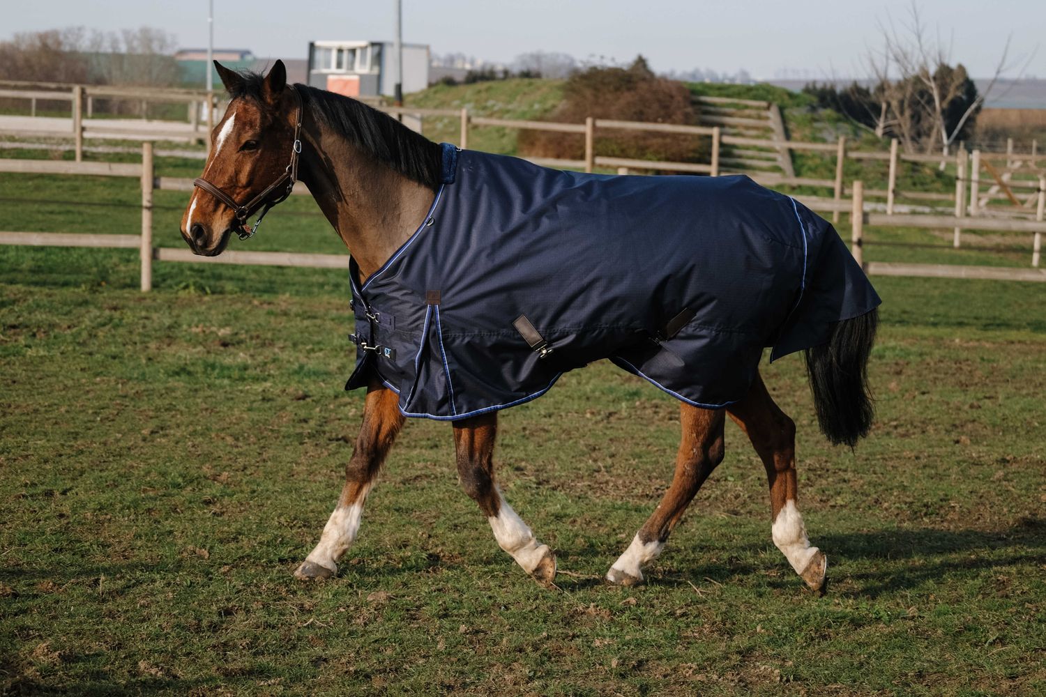 Oudoordeken 50 gr 198cm