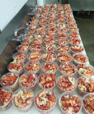 Fresh Maine Lobster Meat