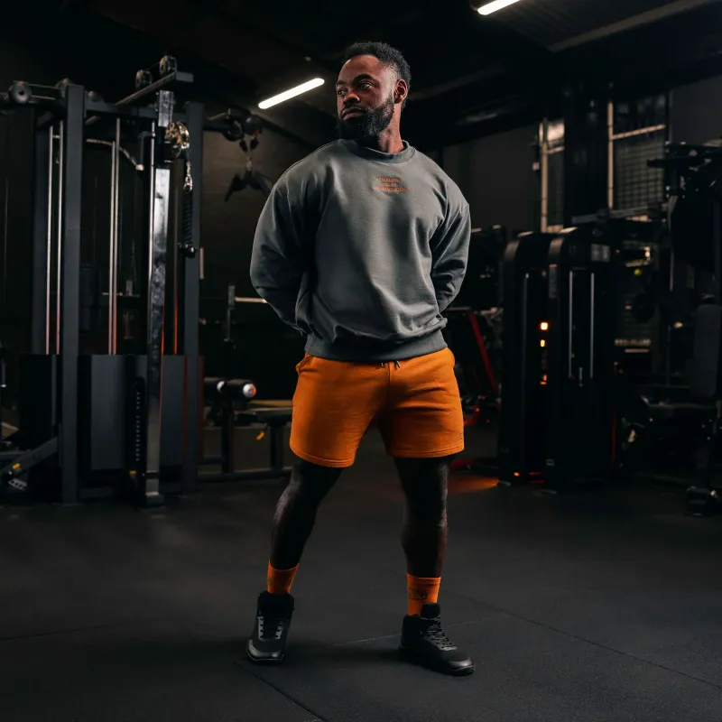 Свитшот "Forge", Grey, SBD