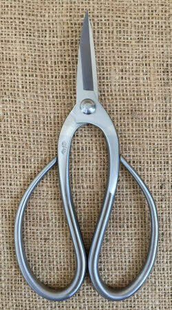 190mm Stainless Steel Ruyga Root Scissor (Large Size)