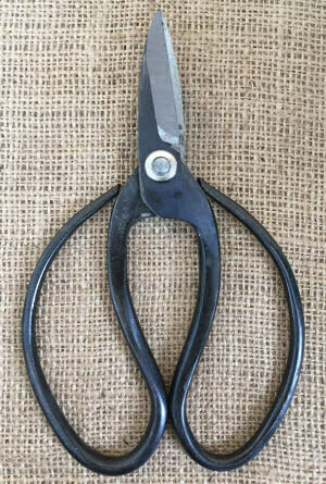 180mm Root Scissor