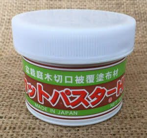 Japanese Bonsai Cut Paste / Wound Sealant 160g (White Lid)