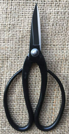 160mm Black Carbon Steel Ruyga Root Scissor (Small Size)