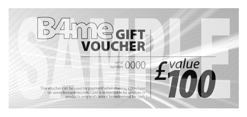 £100 Gift Voucher