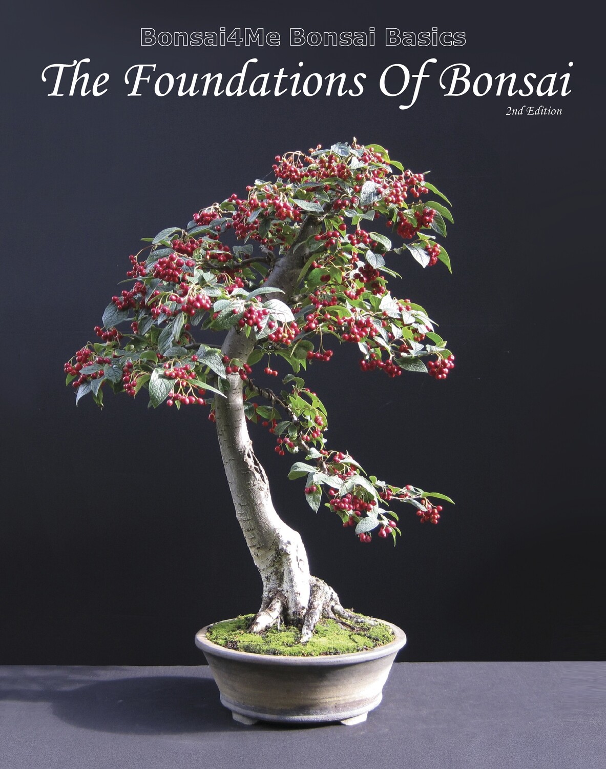 The Foundations of Bonsai 2nd Edition OUT NOW!
