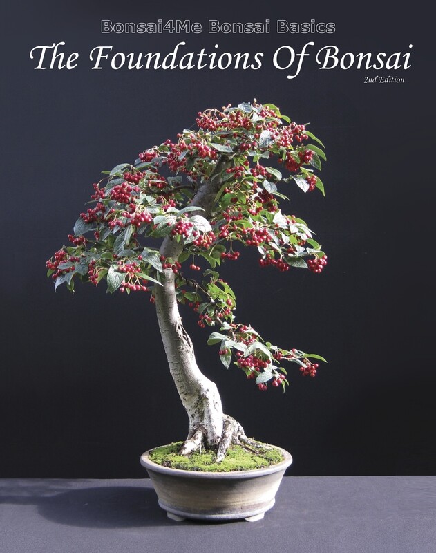 SOLD OUT The Foundations of Bonsai 2nd Edition