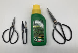 Bonsai Starter Scissor Kit