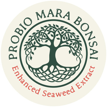 Mara Enhanced High-Quality Seaweed Foliar Fertilizer (UK and EU) 1 litre