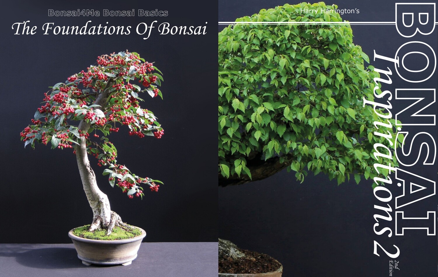 Foundations Of Bonsai and Bonsai Inspirations 2 combined. 15% discount