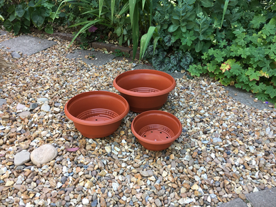 Shallow Plastic Terracotta  Bowl for Pre-Bonsai 23cm diameter