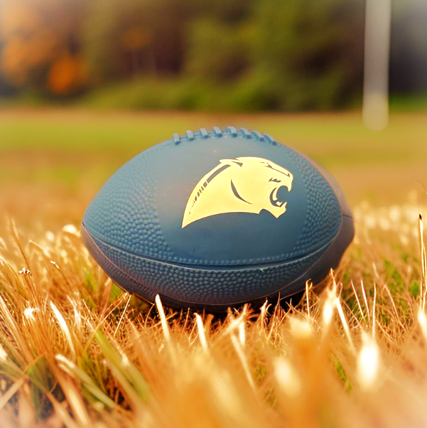 Mini Football