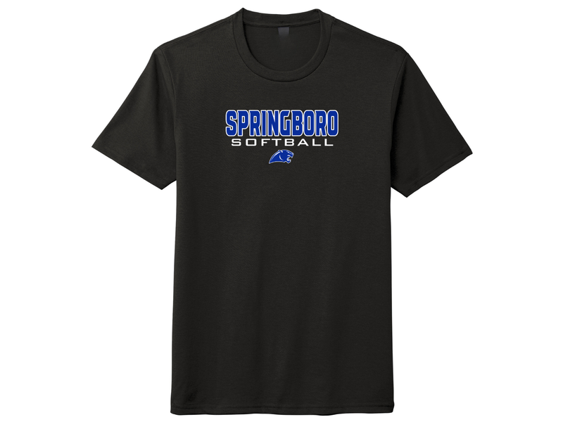 Youth T-shirt OR Sweatshirt - Softball 12/13