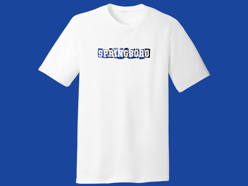 Youth T-shirt OR Sweatshirt Panthers - WGS 36