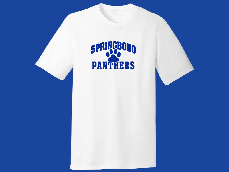Youth T-shirt OR Sweatshirt Panthers - WGS 09