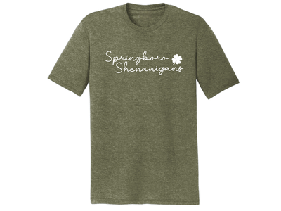 Youth T-shirt - St Patrick&#39;s Day - Springboro Shenanigans - PREORDER