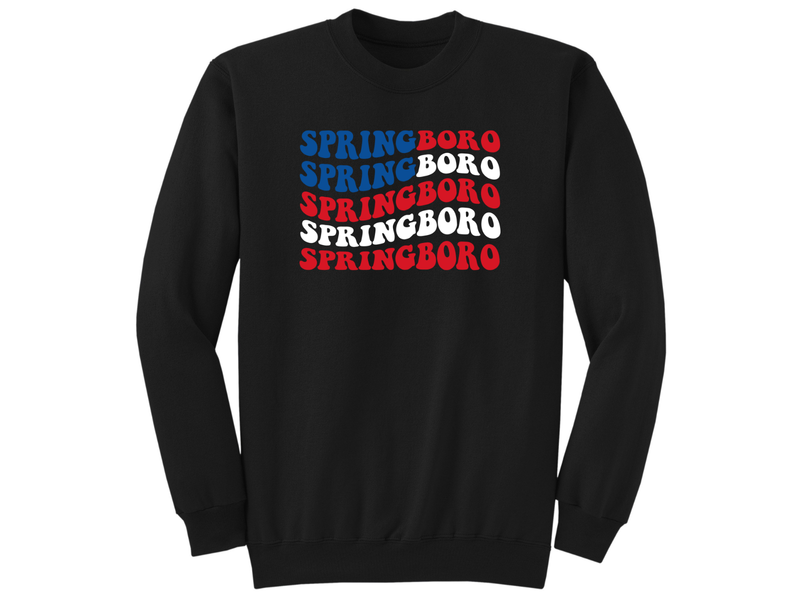 Unisex Crew OR Hooded Sweatshirt Patriotic Springboro Flag