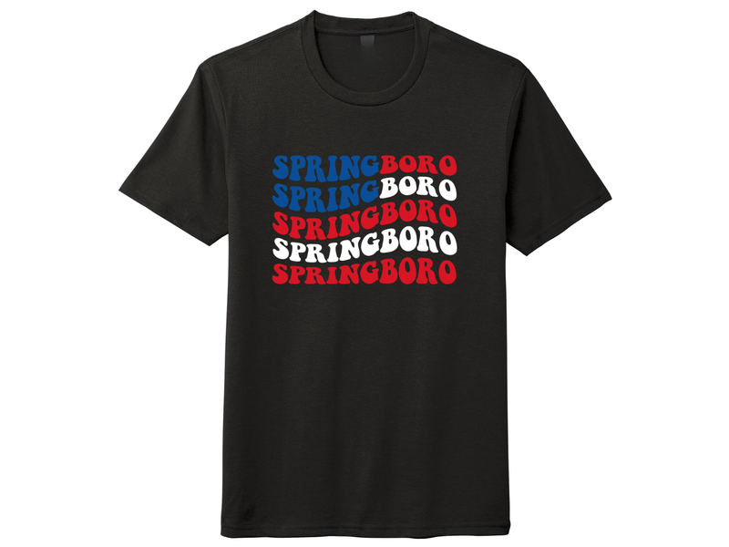 Unisex T-shirt Patriotic Springboro Flag
