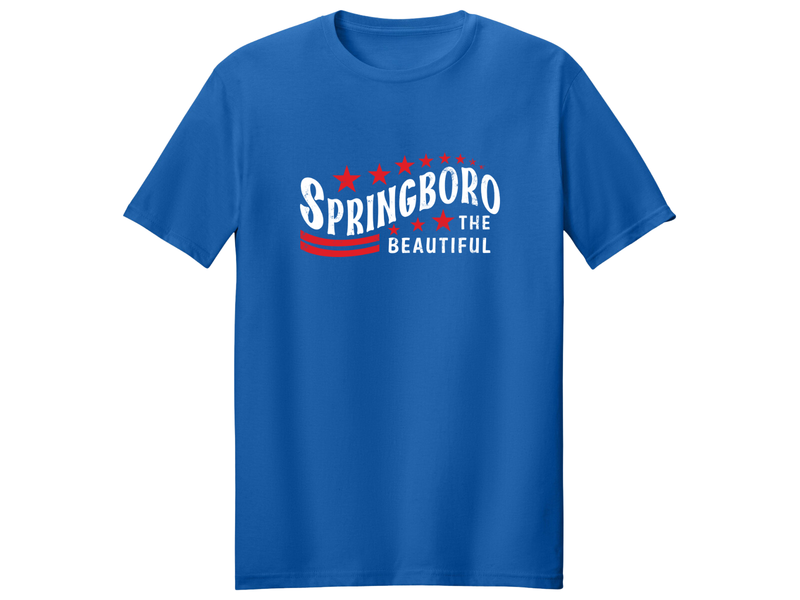 Unisex T-shirt Patriotic Springboro The Beautiful