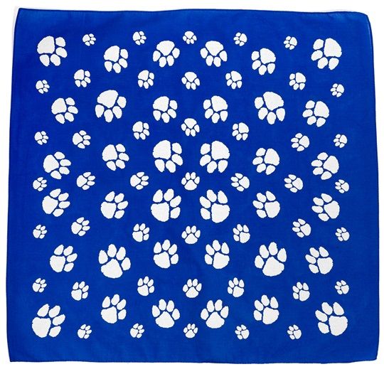 Pets - Royal Blue Paw Print Bandana