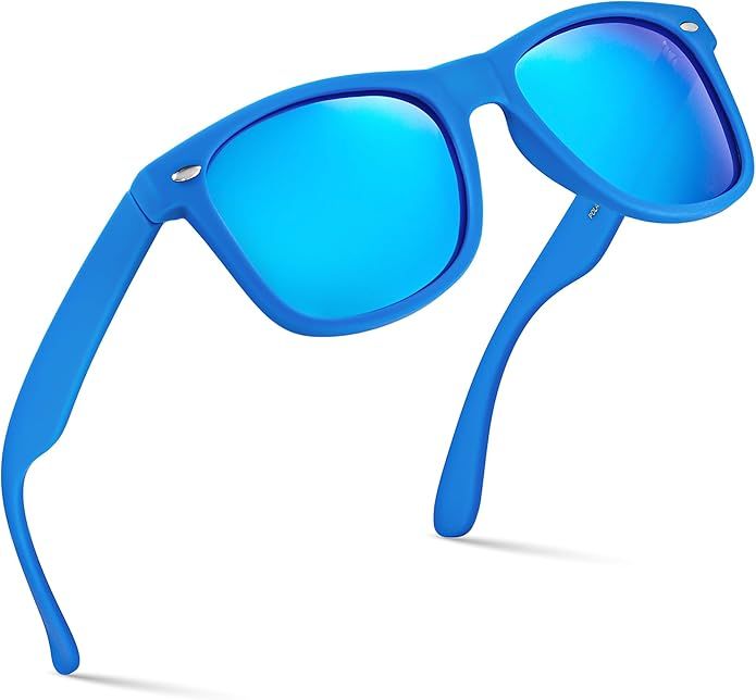 Blue Frame Polarized Sunglasses for Men and Women