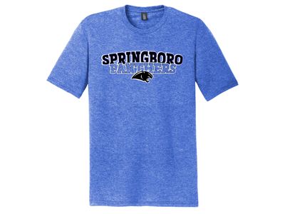 Youth Unisex Frosted Royal Tee Springboro Panthers 34