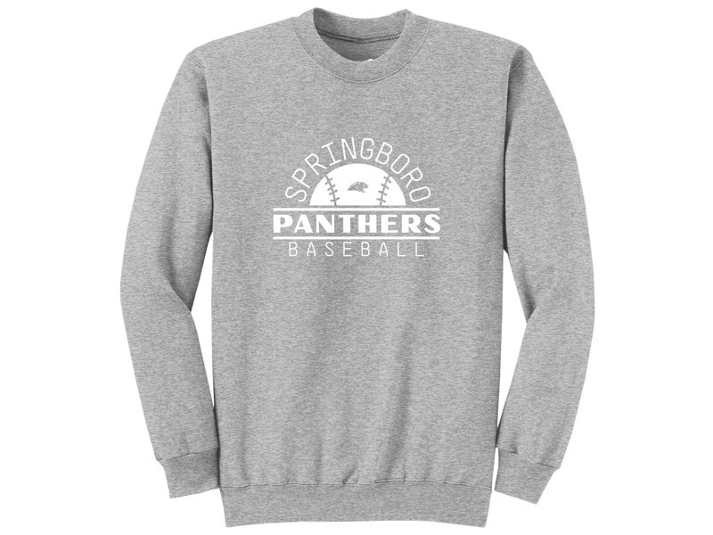 Youth T-shirt OR Sweatshirt - Baseball 11