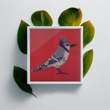 Blue Jay Bird Cross Stitch