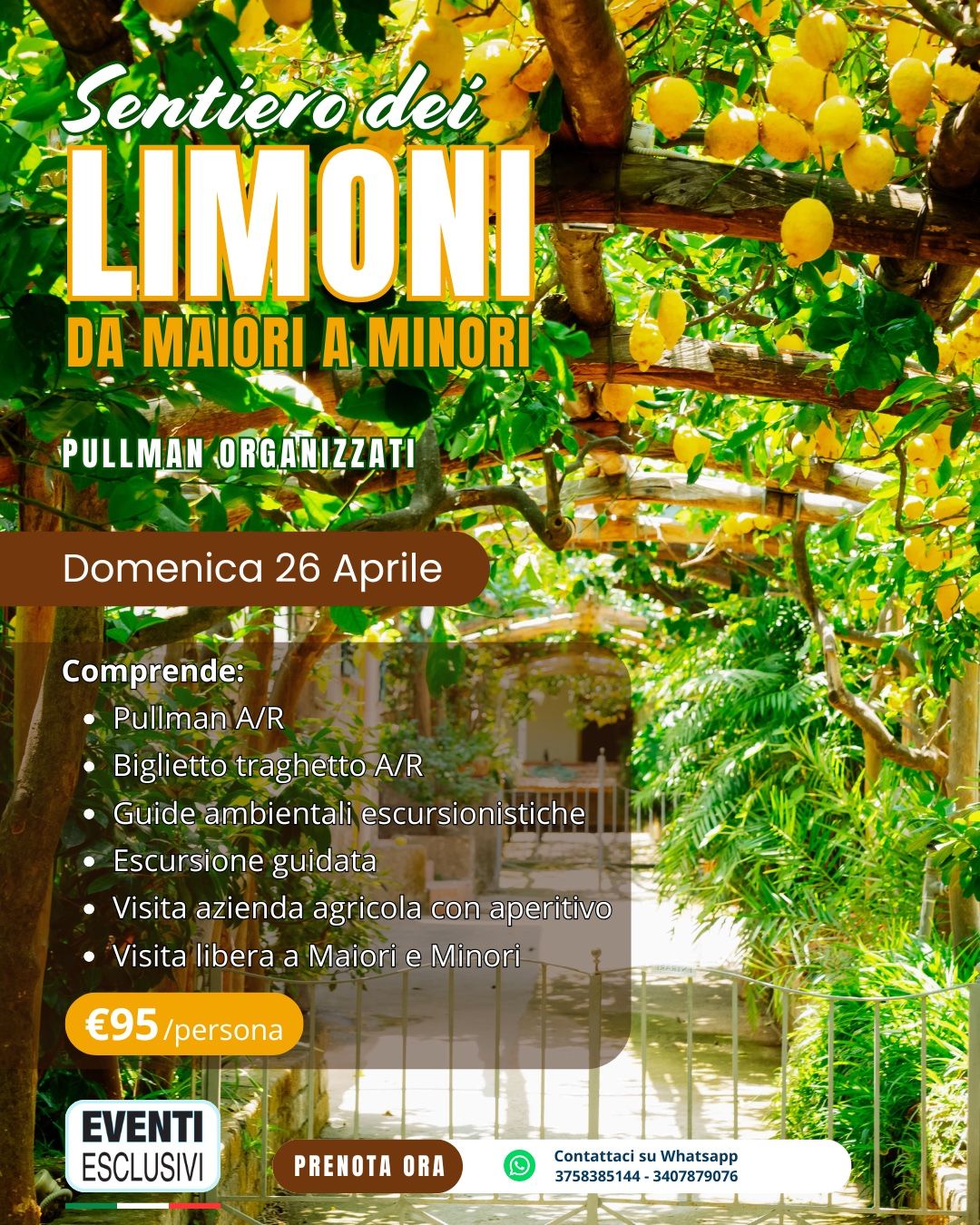 Il Sentiero dei Limoni: da Maiori a Minori 🍋 "Domenica 26 Aprile 2026" 🚌 Bus Organizzati